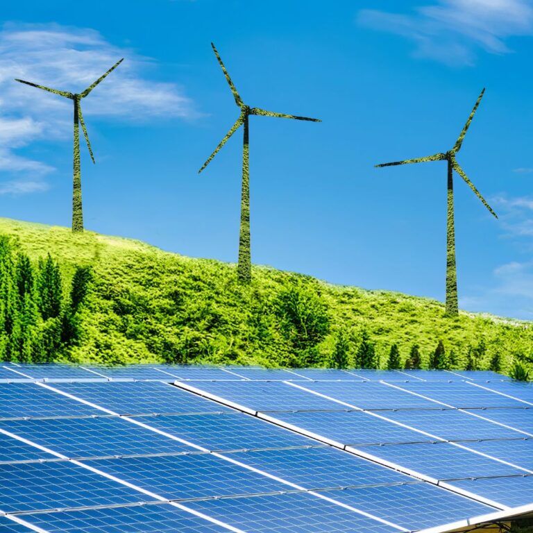 new book collection 768x768 1